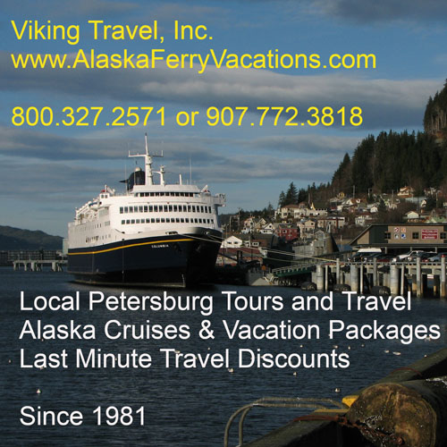 viking travel inc